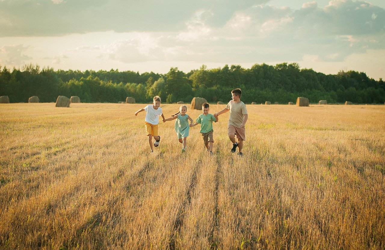 kids, field, friendship, sunset, childhood, children, nature, fun
